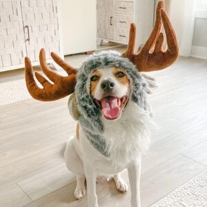 Plush Antler Dog Hat in Brown and Gray